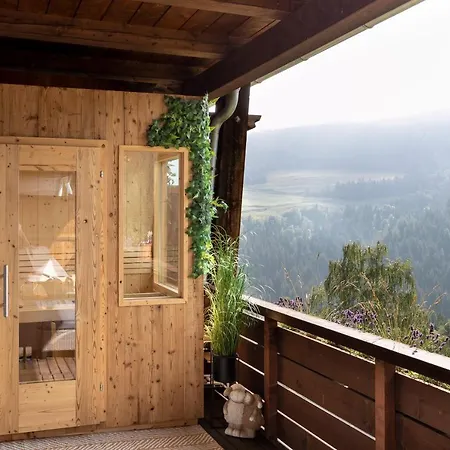 Bergblick Ruhe Und Aussicht Auf 1100M Apartment Sankt Lorenzen ob Murau Exterior photo
