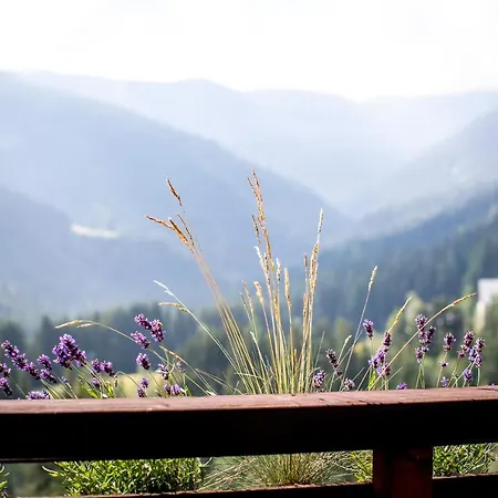 Bergblick Ruhe Und Aussicht Auf 1100M Apartment Sankt Lorenzen ob Murau Exterior photo