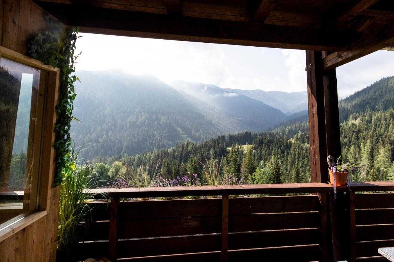 Bergblick Ruhe Und Aussicht Auf 1100m Appartement Sankt Lorenzen ob Murau