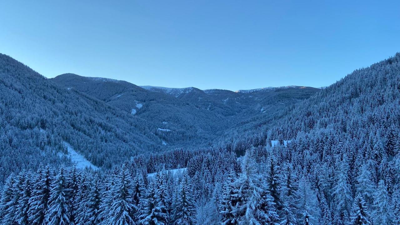 Appartement Bergblick Ruhe Und Aussicht Auf 1100m *